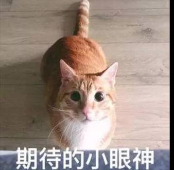 微信图片_20190614160520