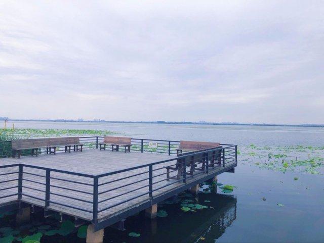 江南旅游苏州阳澄湖吃大闸蟹的地方